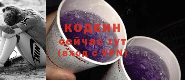 индика Сафоново