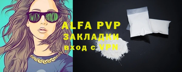 индика Сафоново