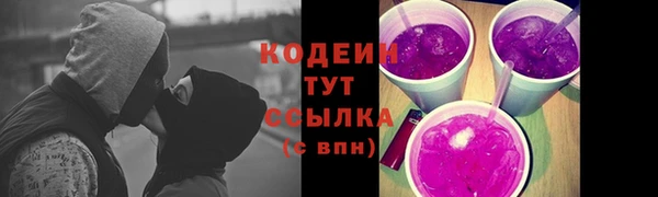 индика Сафоново