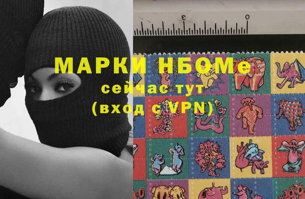 индика Сафоново