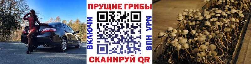 Купить где  Сим  Галлюциногенные грибы ЛСД 