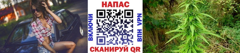 МАРИХУАНА OG Kush  Купить где  Сим 